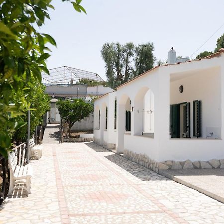 Penta Garden Διαμέρισμα Peschici Εξωτερικό φωτογραφία