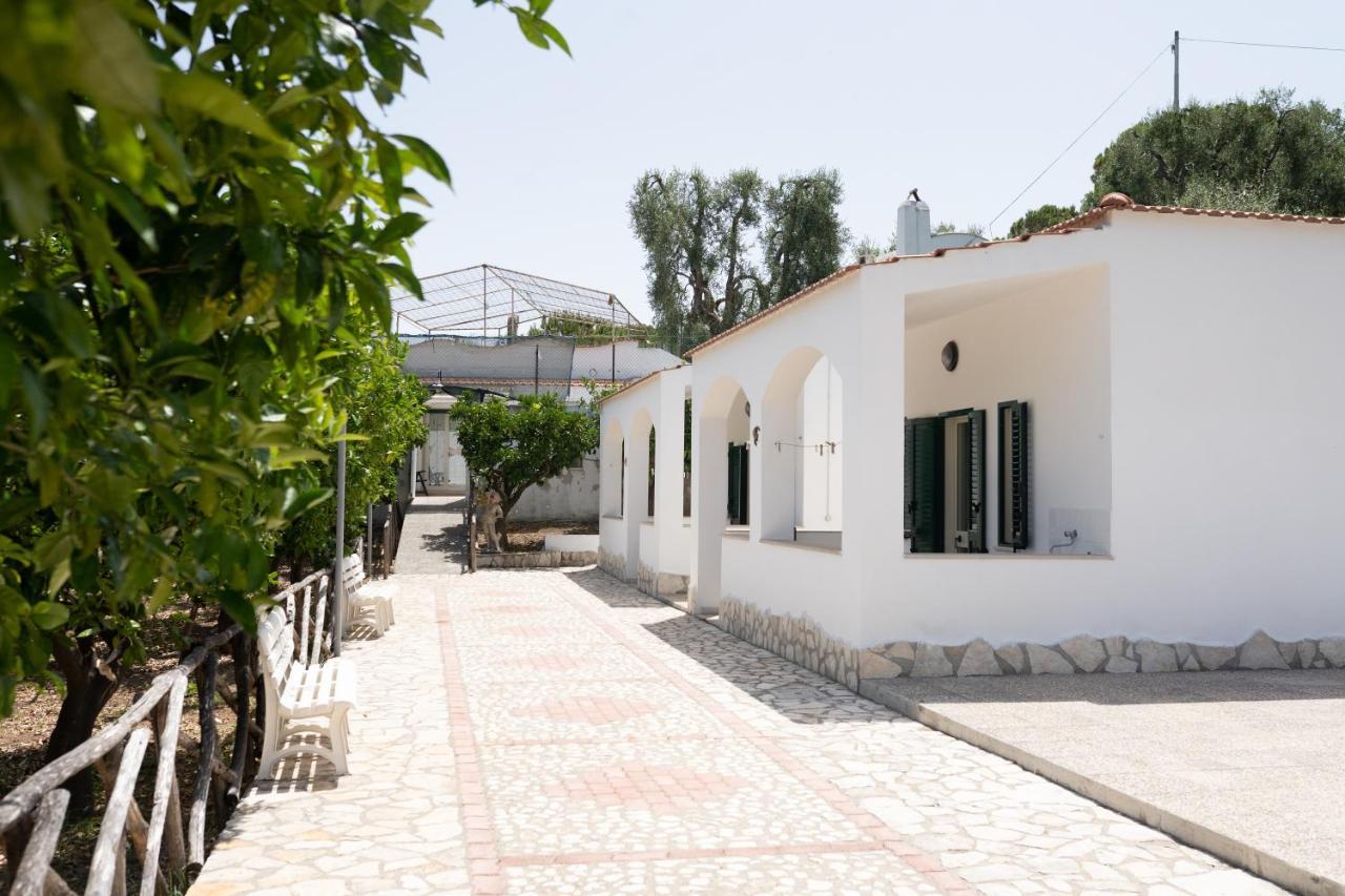 Penta Garden Διαμέρισμα Peschici Εξωτερικό φωτογραφία