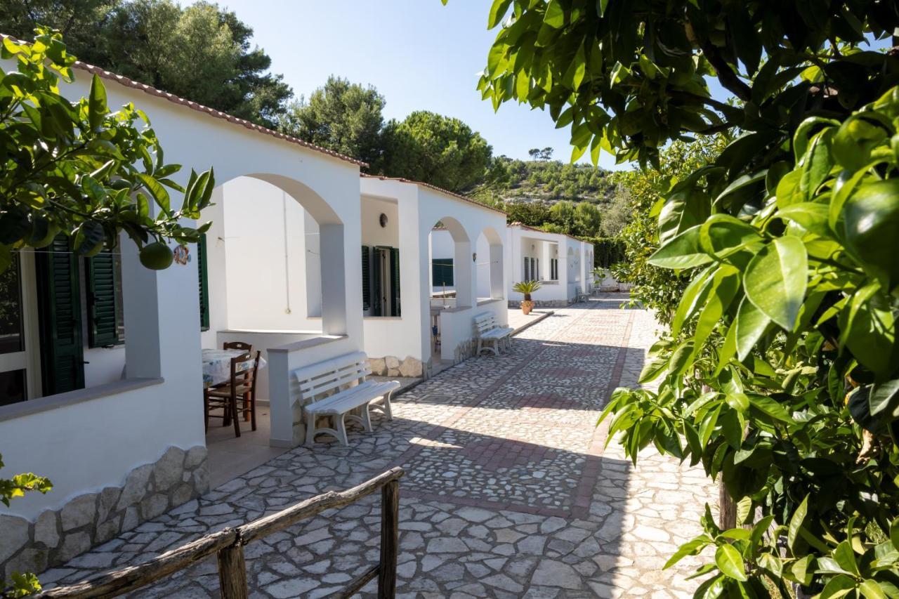 Penta Garden Διαμέρισμα Peschici Εξωτερικό φωτογραφία
