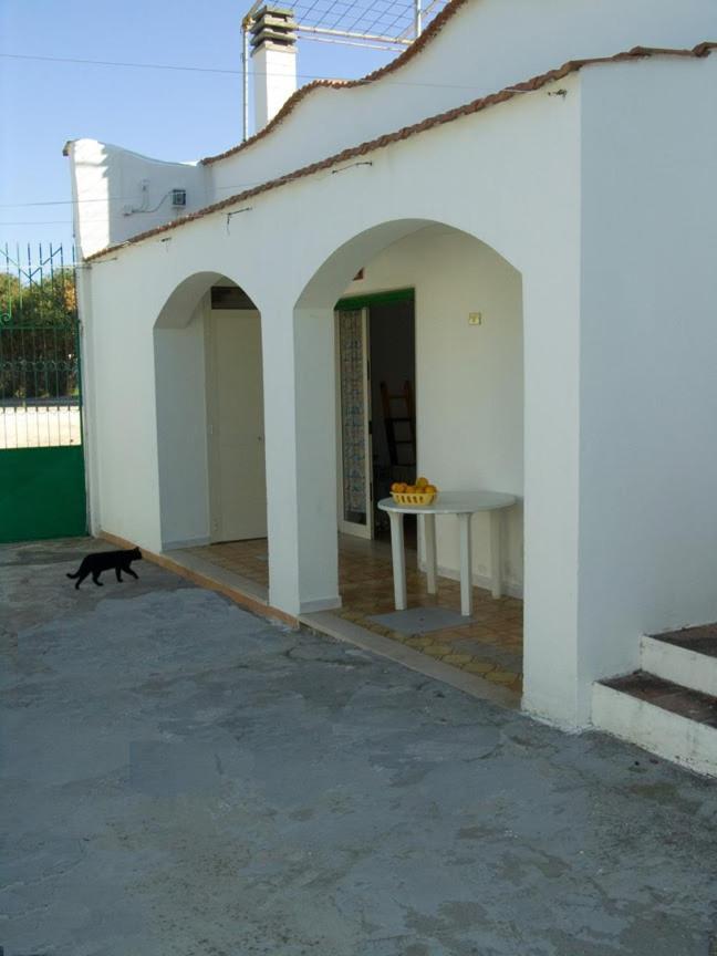 Penta Garden Διαμέρισμα Peschici Εξωτερικό φωτογραφία